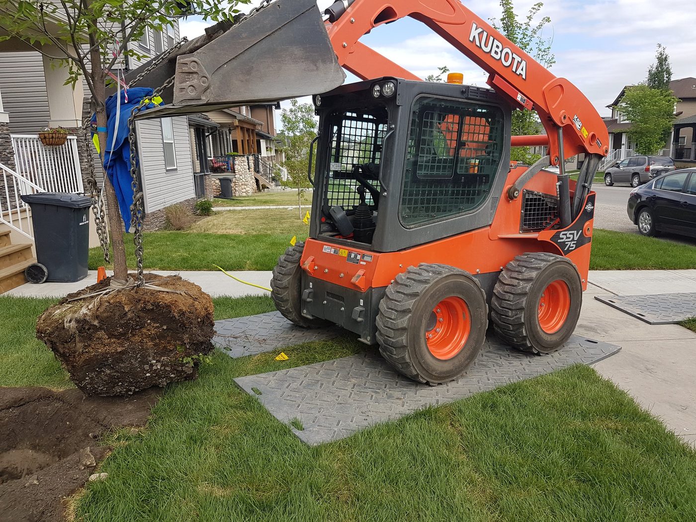 Skid steer planting a tree on a residential boulevard